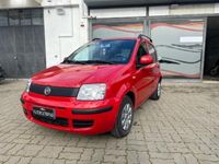 usata Fiat Panda 1.3 MJT o.k. neopatentati