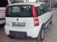 Usata Fiat Panda 4x4 60 CV (44 kW) 2008 Bianco Utilitaria