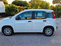 Usata Fiat Panda Easy 69 CV (50 kW) 2020 Bianco Utilitaria