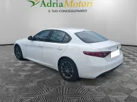 Usata Alfa Romeo Giulia Business 160 CV (117 kW) 2021 Bianco Berlina