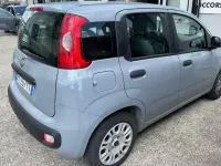Usata Fiat Panda Easy 69 CV (50 kW) 2017 Grigio Utilitaria