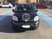 Usata Fiat Panda Lounge 75 CV (55 kW) 2014 Nero Utilitaria