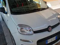 Usata Fiat Panda Easy 95 CV (69 kW) 2016 Bianco Utilitaria