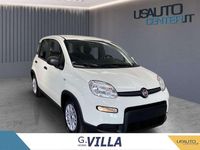 Usata Fiat Panda Icon 70 CV (51 kW) 2024 Bianco Utilitaria