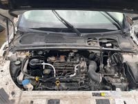 Usata Land Rover Range Rover evoque 150 CV (110 kW) 2015 Bianco SUV
