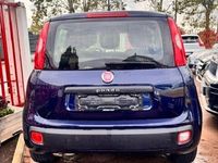 Usata Fiat Panda Easy 69 CV (50 kW) 2017 Blu Utilitaria