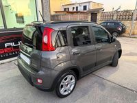 Usata Fiat Panda Cross Cross 69 CV (50 kW) 2022 Grigio Utilitaria