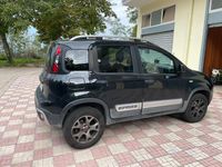 Usata Fiat Panda Cross Cross 85 CV (62 kW) 2020 Utilitaria