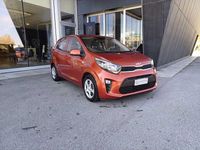 Usata Kia Picanto Urban 67 CV (49 kW) 2023 Rosso Utilitaria