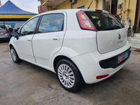 usata Fiat Punto Evo 1.2 5 porte S&S Dynamic
