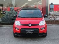 usata Fiat Panda 3ª serie 1.0 FireFly S&S Hybrid Sport