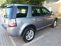 Usata Land Rover Freelander 2 SE 150 CV (110 kW) 2012 SUV