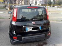Usata Fiat Panda S 69 CV (50 kW) 2023 Utilitaria