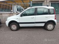 Usata Fiat Panda 4x4 2006 Bianco Utilitaria