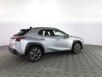 Usata Lexus UX 152 CV (111 kW) 2024 Gray SUV