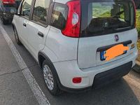 Usata Fiat Panda Cross Cross 69 CV (50 kW) 2023 Utilitaria