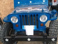 Usado Jeep Willys 1950 Azul SUV
