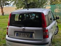 Usata Fiat Panda 69 CV (50 kW) 2010 Utilitaria