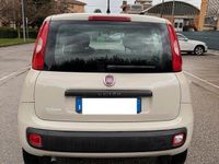Usata Fiat Panda 86 CV (63 kW) 2017 Beige Utilitaria