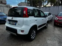 Usata Fiat Panda 4x4 S 75 CV (55 kW) 2014 Bianco Utilitaria