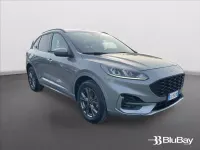 Usata Ford Kuga ST-Line 225 CV (165 kW) 2021 Grigio SUV