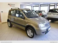 Usata Fiat Panda 4x4 69 CV (50 kW) 2008 Marrone Utilitaria