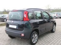 usata Fiat Panda 4x4 0.9 twinair 85 CV S&S