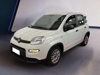 Usata Fiat Panda S 69 CV (50 kW) 2023 Bianco Utilitaria