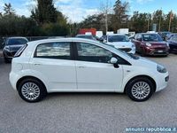 usata Fiat Punto 1.2 5 porte S&S Dynamic Fano