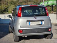 Usata Fiat Panda Lounge 69 CV (50 kW) 2019 Grigio Utilitaria