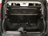 Usata Fiat Panda Cross 70 CV (51 kW) 2025 Verde