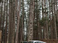 Usata Audi TTS S-Line 200 CV (147 kW) 2008 Bianco Coupé