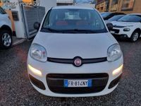 usata Fiat Panda Panda1.2 POP NEOPATENTATI FR814NY