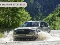 Usata Subaru Forester 136 CV (100 kW) 2024 Argento SUV