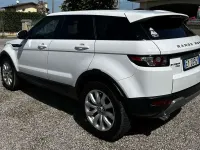 Usata Land Rover Range Rover evoque Prestige 150 CV (110 kW) 2015 Bianco SUV