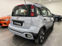 usata Fiat Panda 1.0 FireFly S&S Hybrid Launch Edition