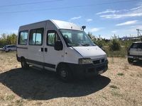 usata Fiat Ducato Panorama 9 posti EX trasporto disabili