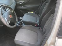 usata Fiat Punto Evo Punto Evo 1.2 5 porte S&S Active