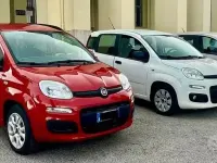 Usata Fiat Panda 75 CV (55 kW) 2015 Bianco Utilitaria