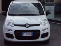 Usata Fiat Panda Easy 69 CV (50 kW) 2019 Bianco Utilitaria