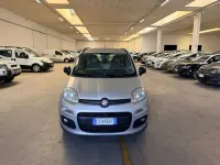 Usata Fiat Panda Pop 80 CV (58 kW) 2014 Grigio Utilitaria