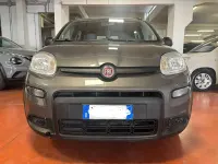 Usata Fiat Panda City Life 69 CV (50 kW) 2022 Grigio Utilitaria