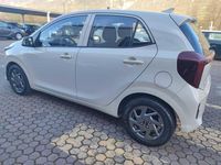 Occasion Kia Picanto Urban 63 ch (46 kW) 2025 Beige Citadine