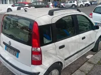 Usata Fiat Panda 60 CV (44 kW) 2003 Bianco Utilitaria