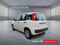 Nuova Fiat Panda Pop 65 CV (47 kW) 2025 Bianco Utilitaria