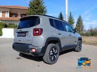 Usata Jeep Renegade Trailhawk 179 CV (131 kW) 2020 Grigio SUV