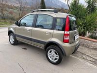 Usata Fiat Panda 4x4 74 CV (54 kW) 2011 Marrone Utilitaria