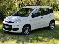 Usata Fiat Panda 86 CV (63 kW) 2016 Utilitaria