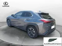 Usata Lexus UX Luxury Line 183 CV (134 kW) 2019 Grigio SUV