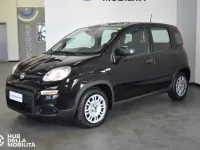 Usata Fiat Panda S 69 CV (50 kW) 2024 Nero Utilitaria